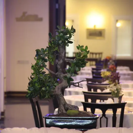 Susuzlu Seckin Izmir